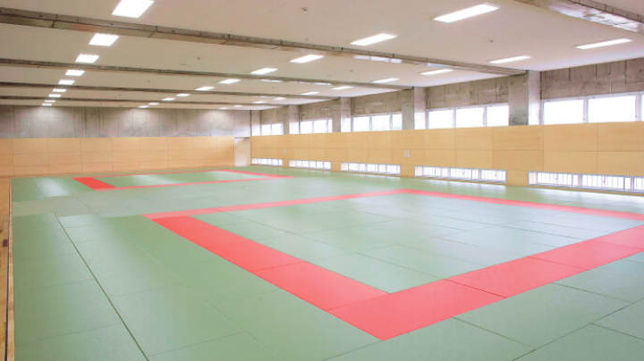 Judojo in the gymnasium